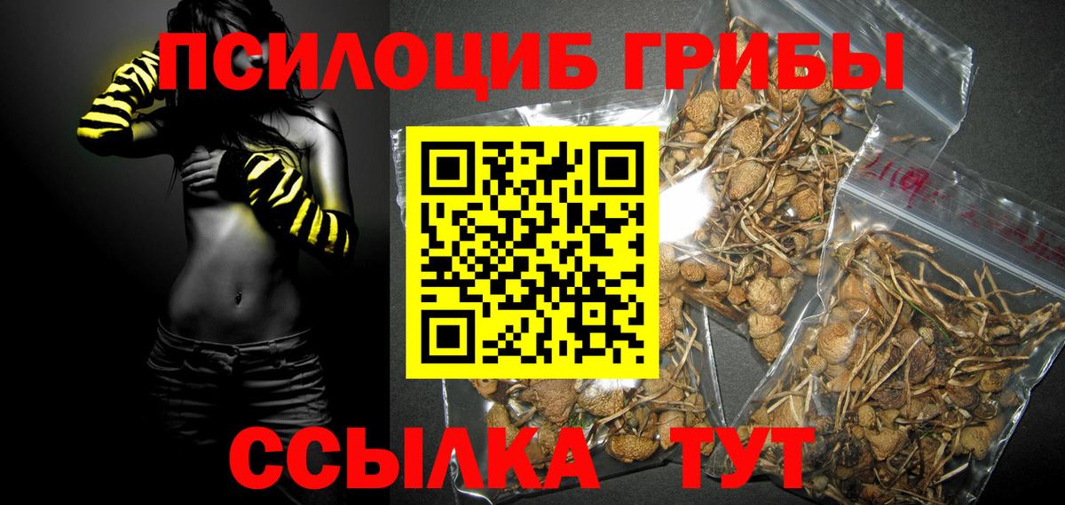 Псилоцибиновые грибы мухоморы  Вход с VPN  Гулькевичи  Псилоцибиновые грибы Psilocybe 