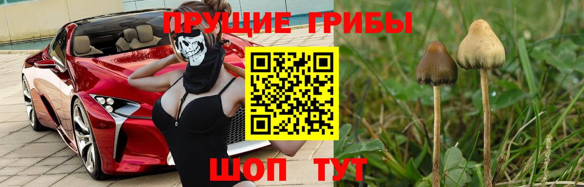 Псилоцибиновые грибы ЛСД Гулькевичи